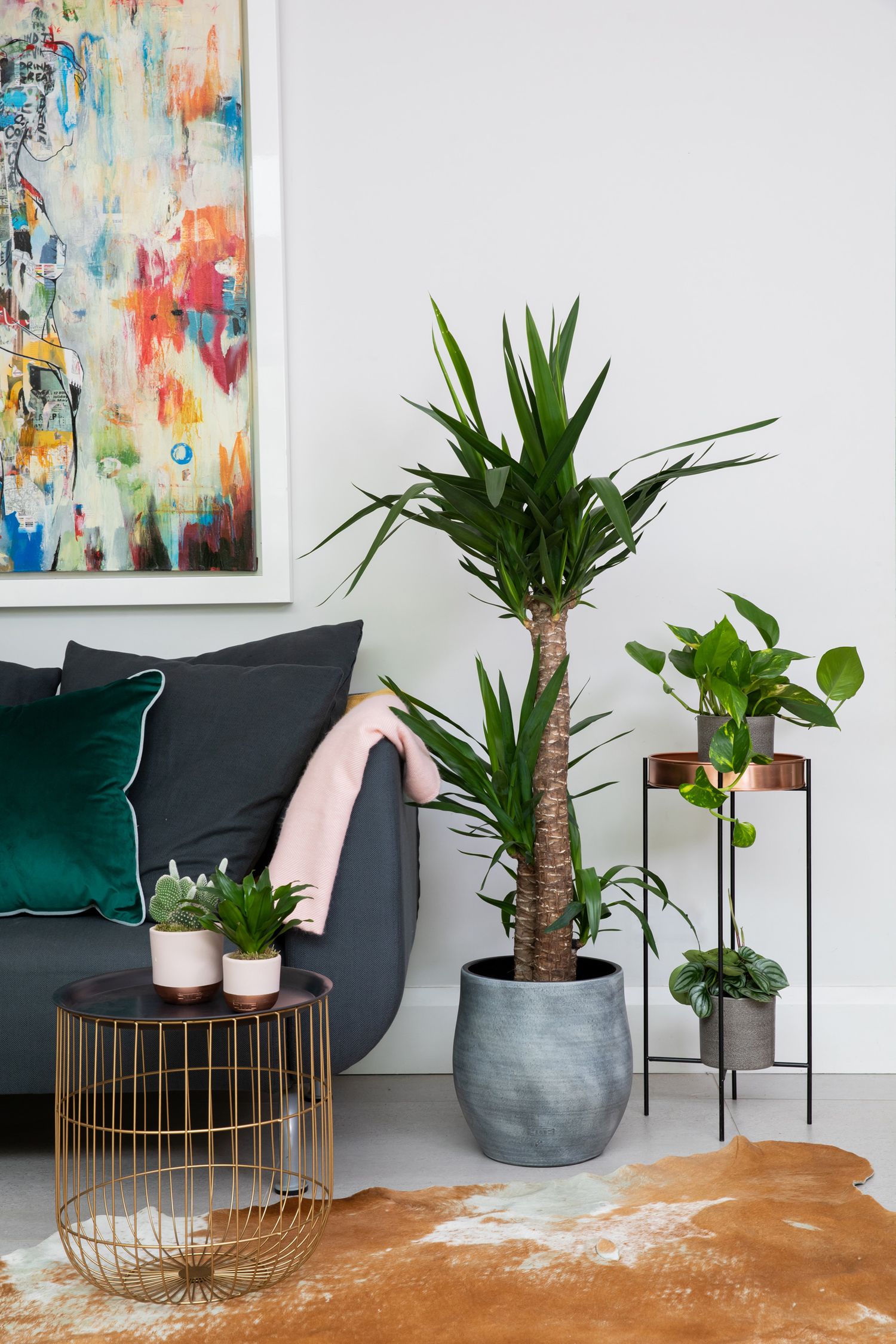 Stylish living room corner with dark sofa, abstract wall art, and potted tropical plants from a product/lifestyle photoshoot.