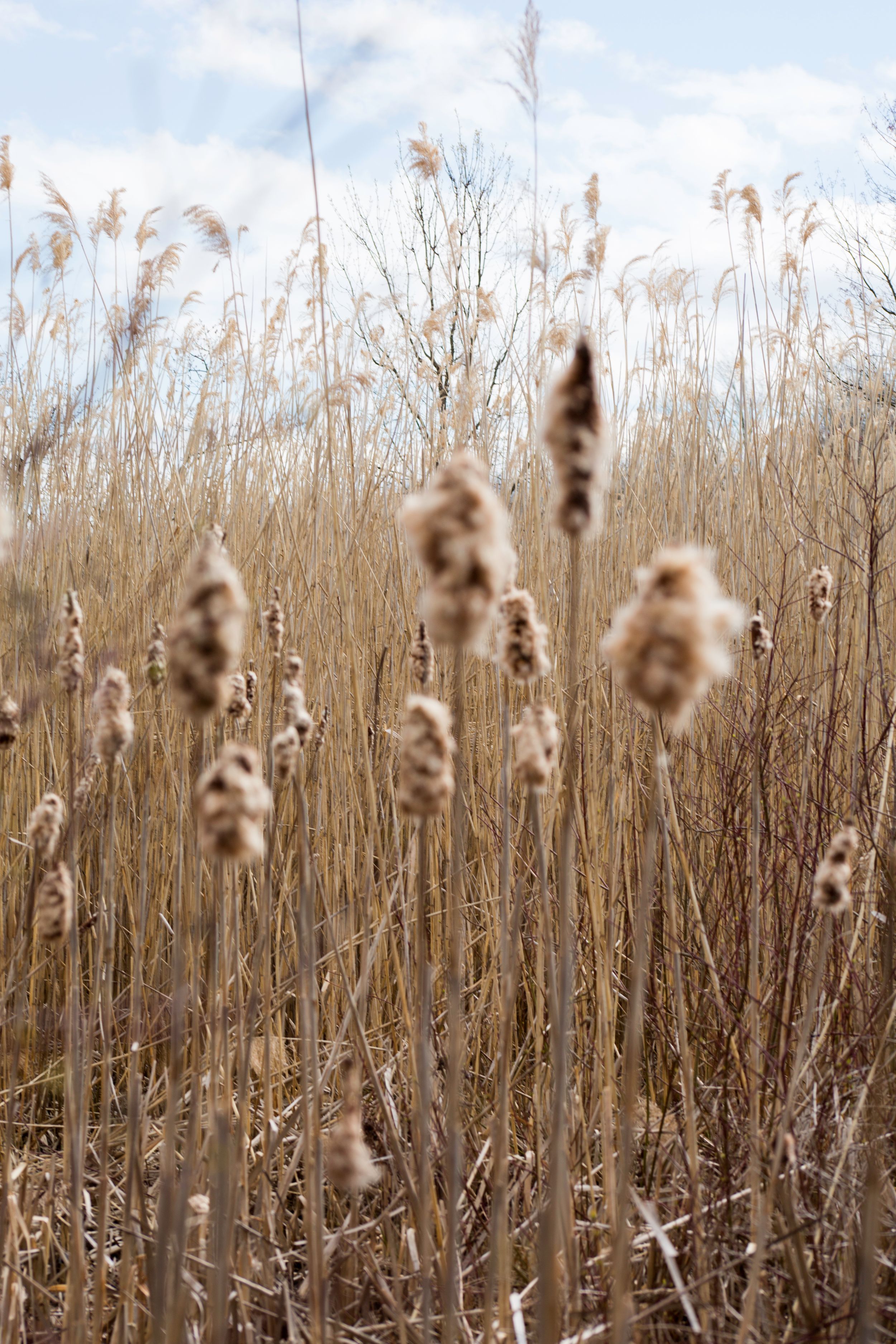Piermont, New York 2015