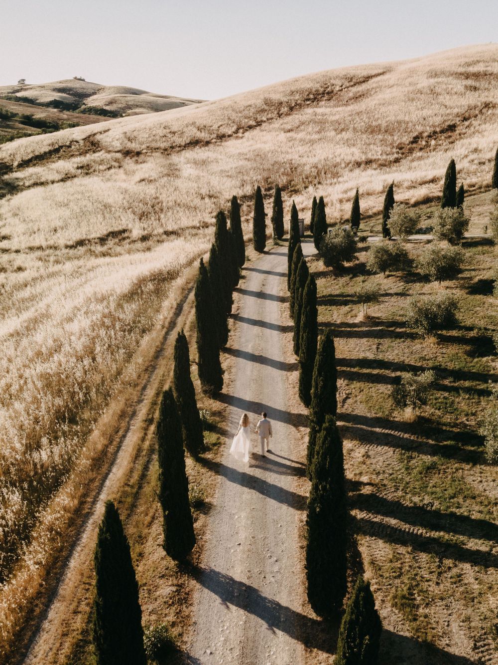 Sun-drenched country road with dramatic cypress tree shadows stretching across the path.