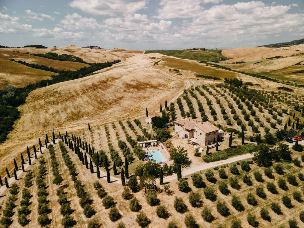 Panoramic view of a Tuscan vineyard with cypress trees lining winding roads and rolling hills.