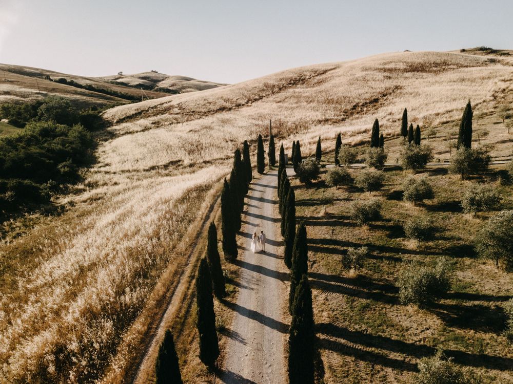 Golden hour view of a rustic road lined with towering cypress trees in the Italian countryside.