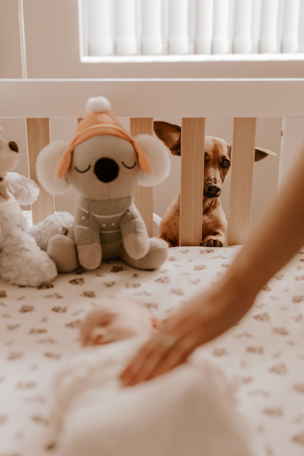 A nursery scene with stuffed animals and a white crib with floral bedding.