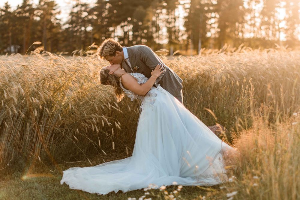 Romantic dip kiss between newlyweds in a sunlit wheat field during golden hour.
