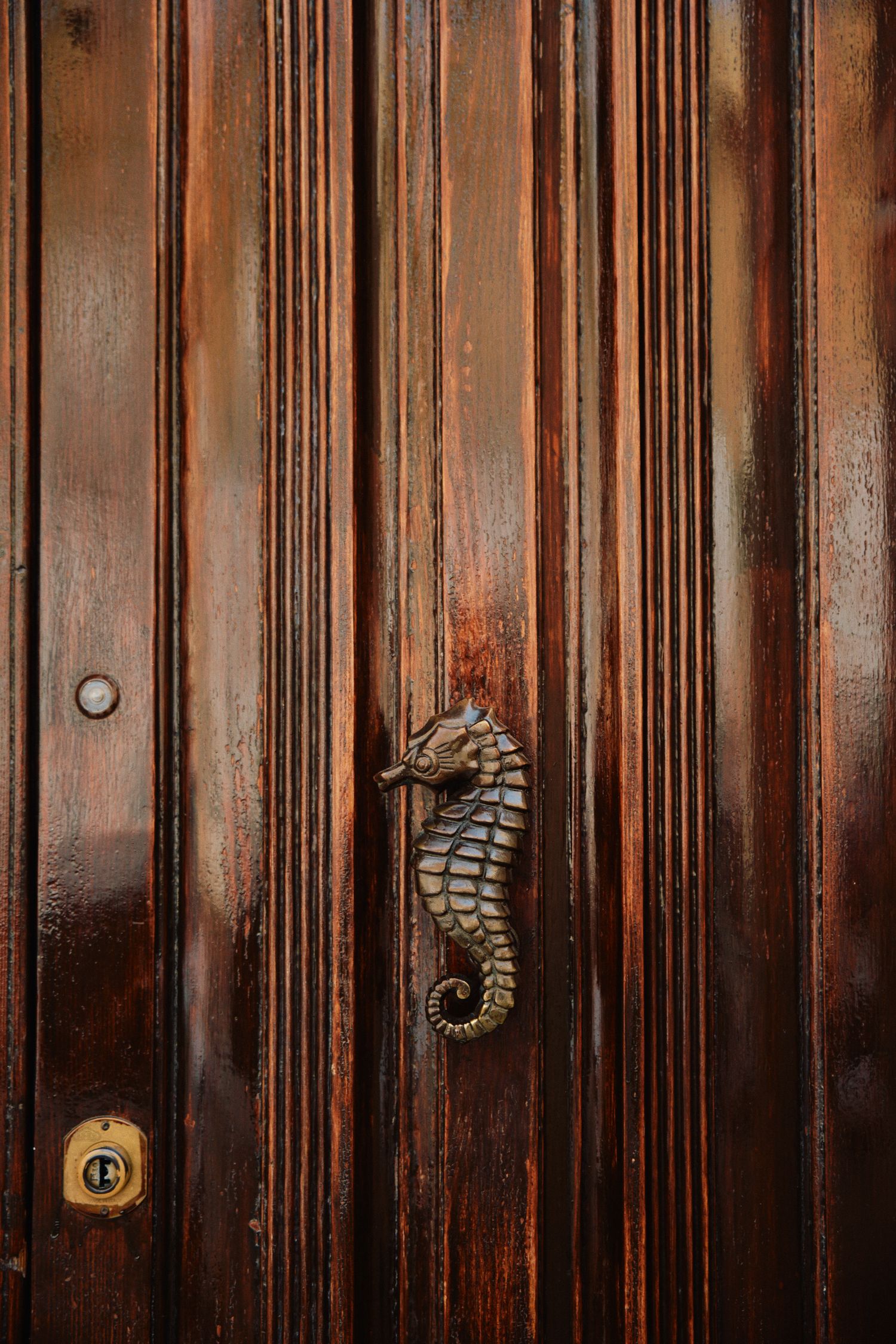 Decorative brass seahorse door knocker on dark wooden paneled door.