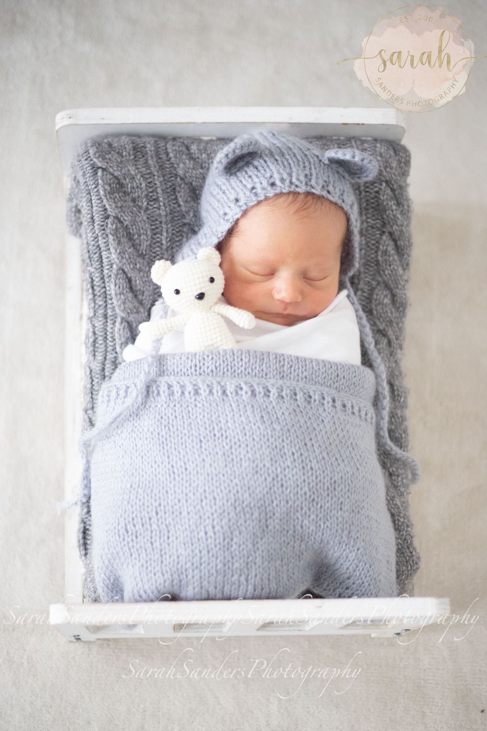Newborn in a mini bed wrapped and posed with bear