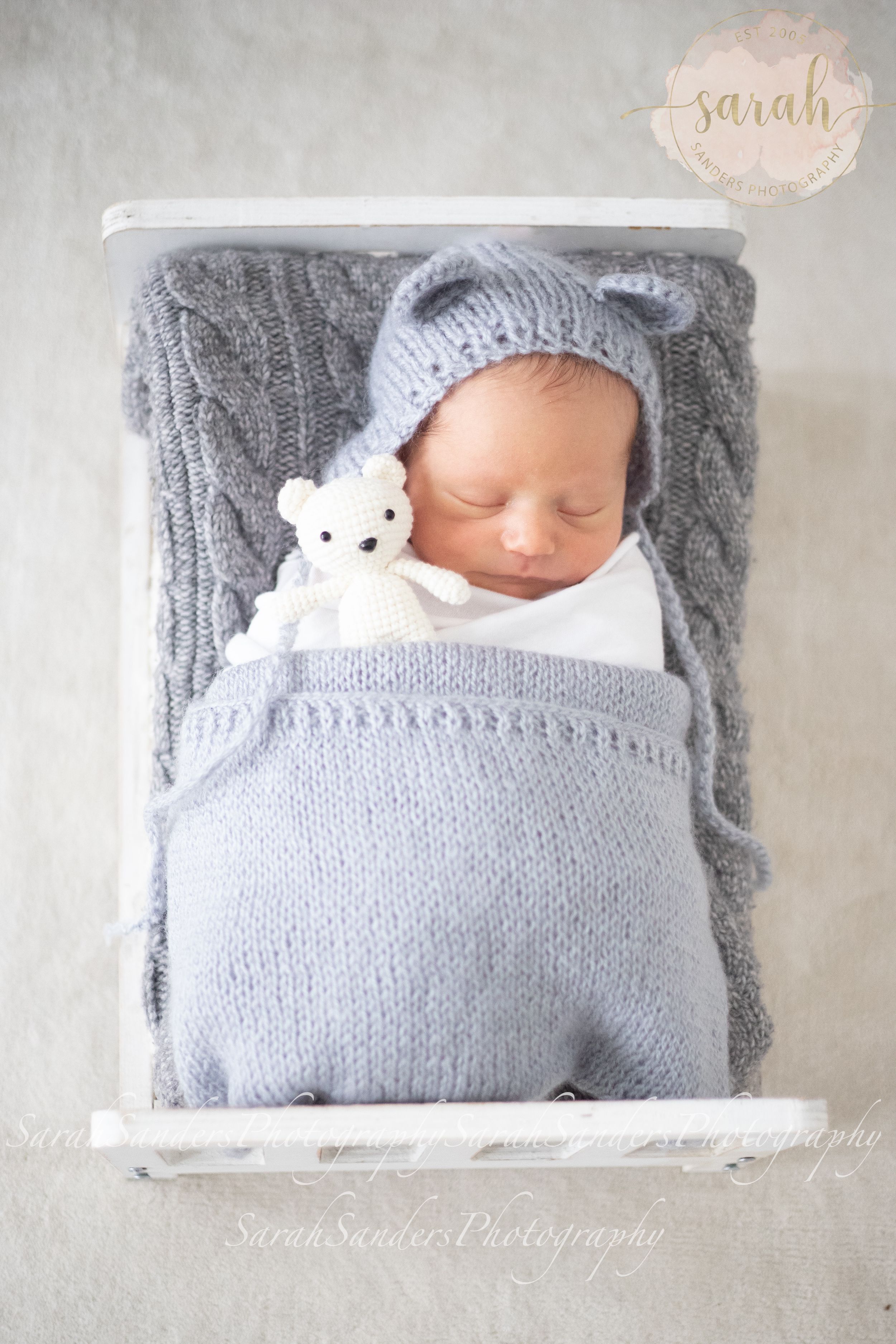 Newborn in a mini bed wrapped and posed with bear