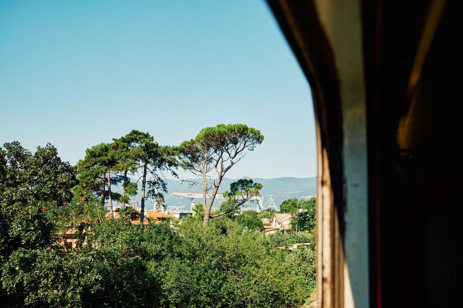 Scenic coastal view of pine trees against blue sky seen through a window frame.