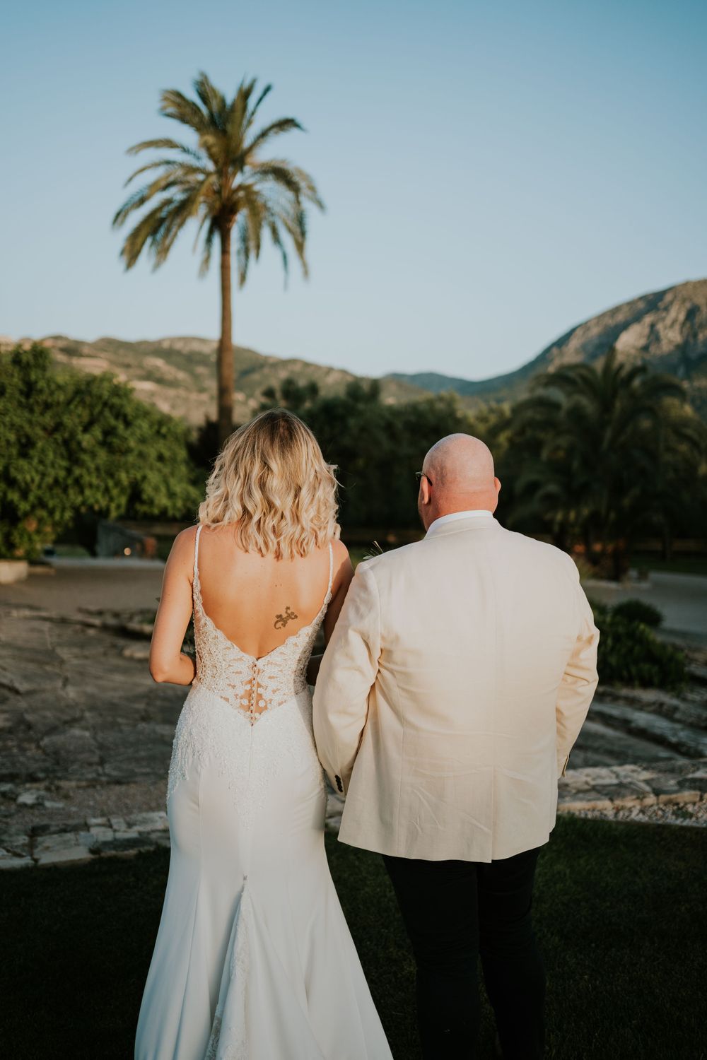 A wedding couple photographed from behind stand together overlooking mountains and a palm tree.