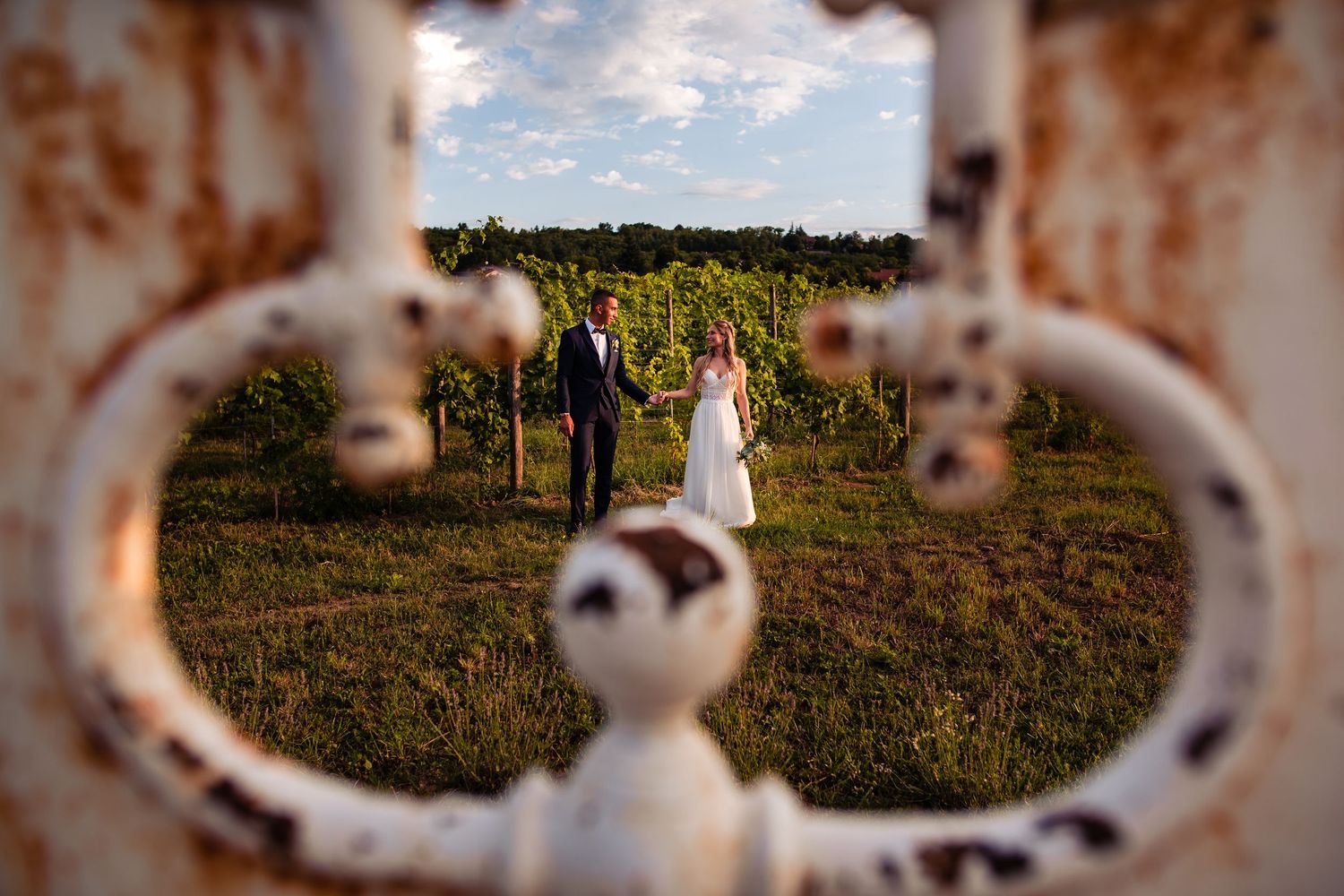 Wedding dress framed through rustic metal archway overlooking vineyard landscape.