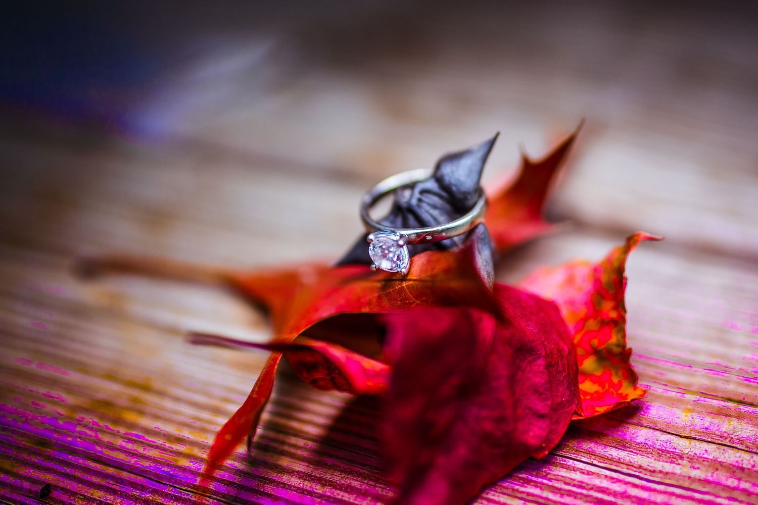 Diamond engagement ring placed artistically on bright red autumn maple leaf.