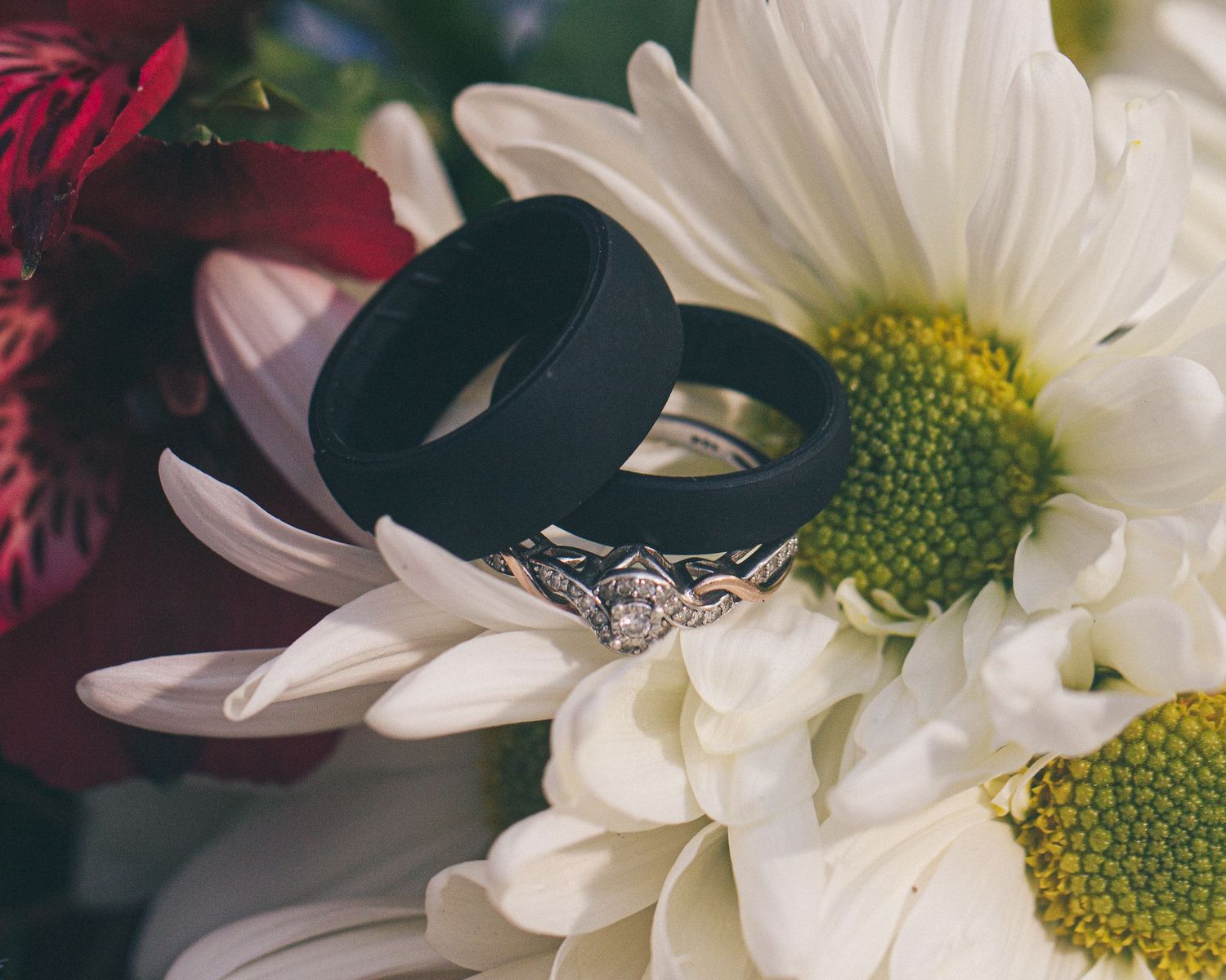 Close-up of white daisy flowers with diamond ring.