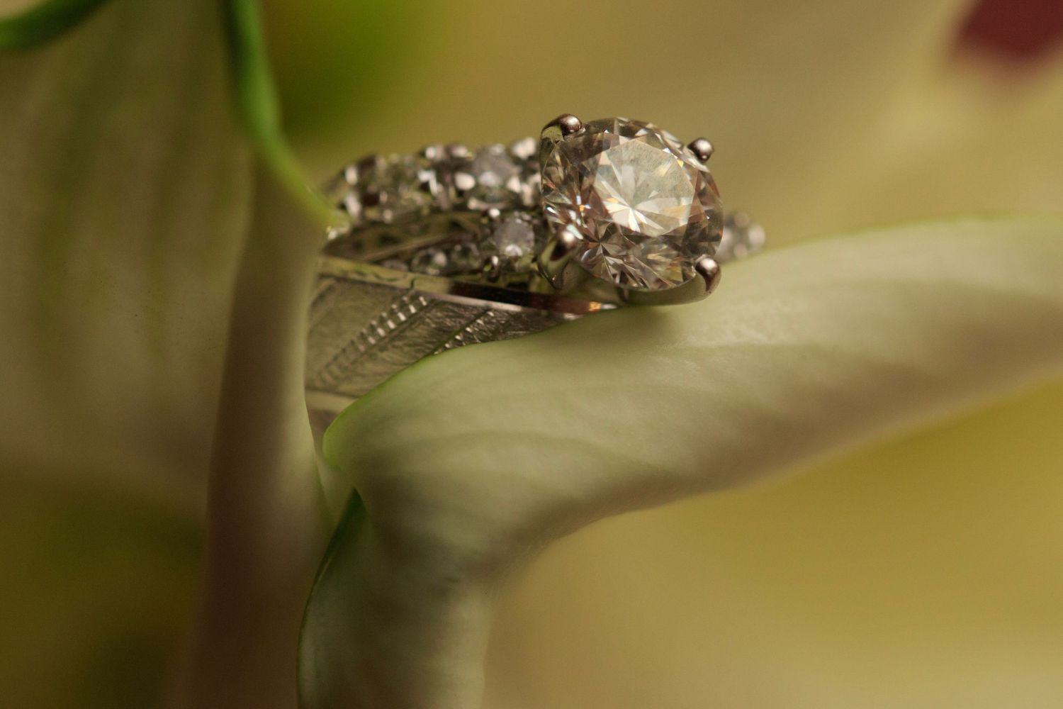 Macro photograph of a delicate butterfly perched on a blurred natural background.