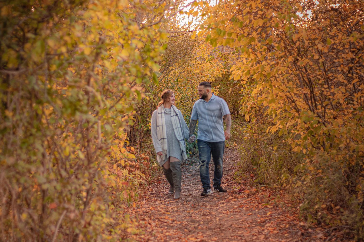 Walking path through autumn trees with golden foliage and natural light.