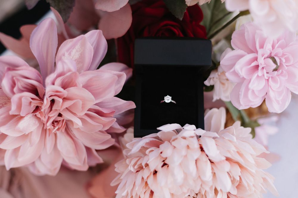 An engagement ring in a black box nestled among pink blooming flowers.