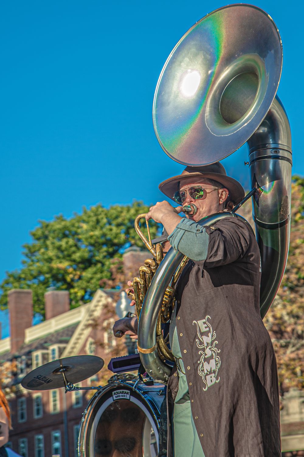Honk! Festival in Harvard Square.