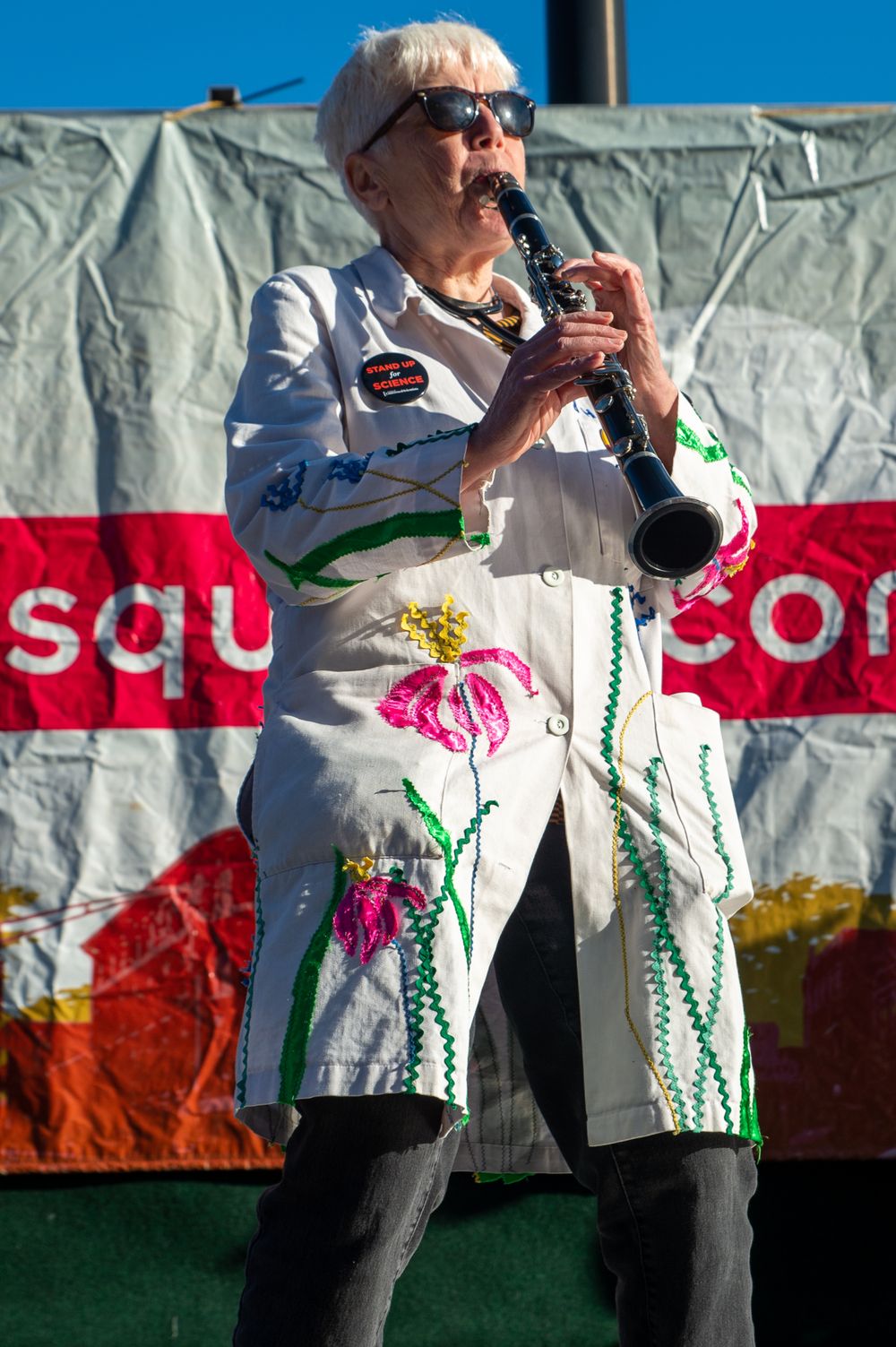 Honk! Festival in Harvard Square.