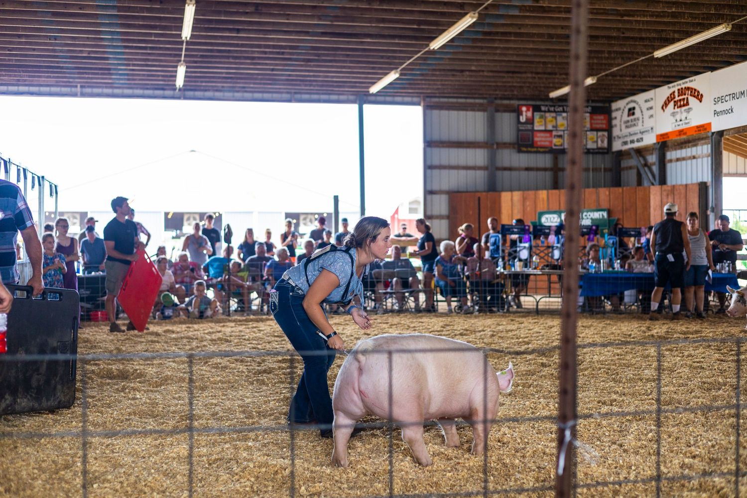 Panoramic view of a livestock arena with spectators watching from bleachers.