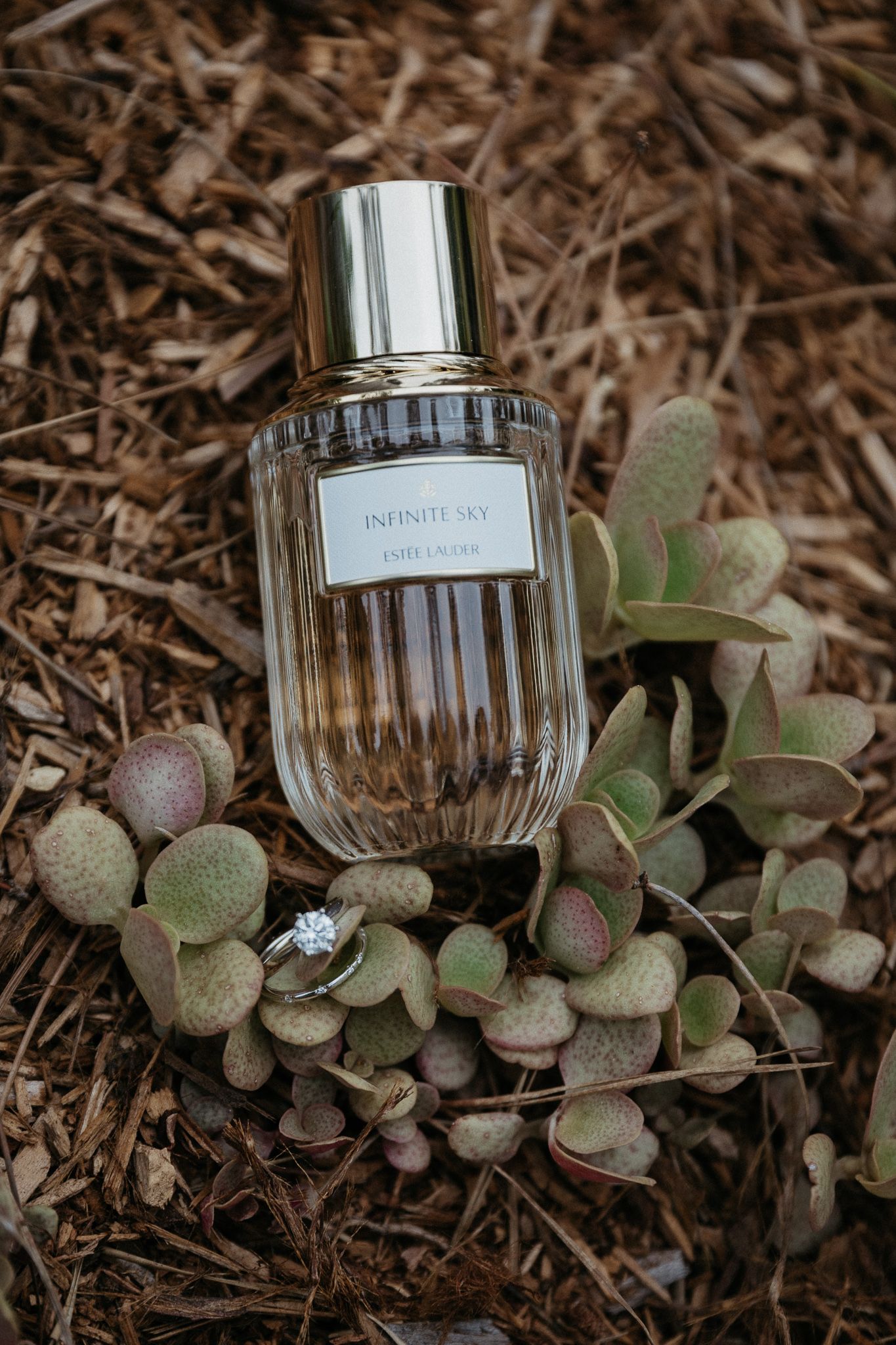 Perfume bottle and engagement ring styled with succulent plants on natural mulch.