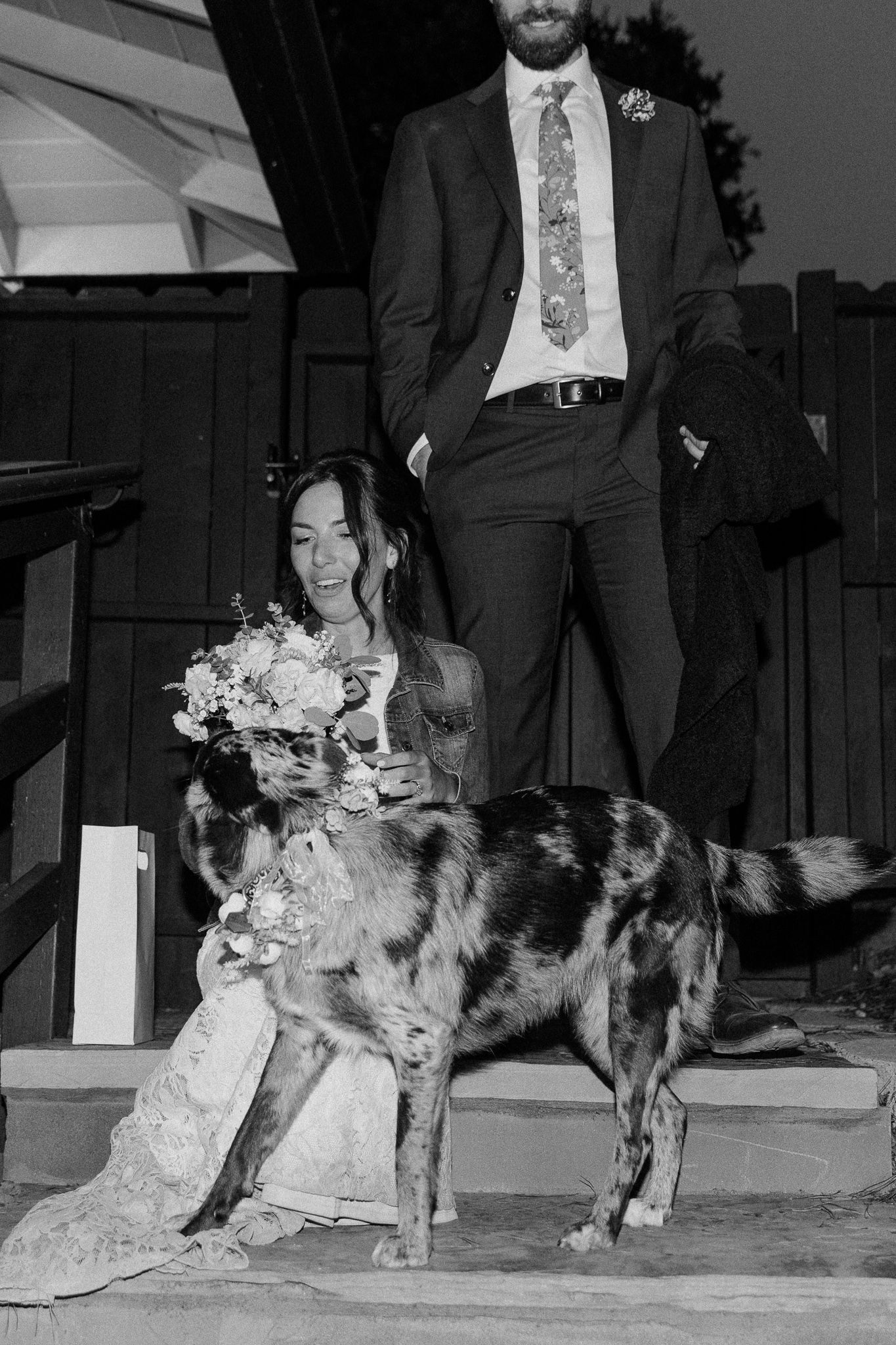A black and white wedding photo featuring a dog and couple on outdoor steps.