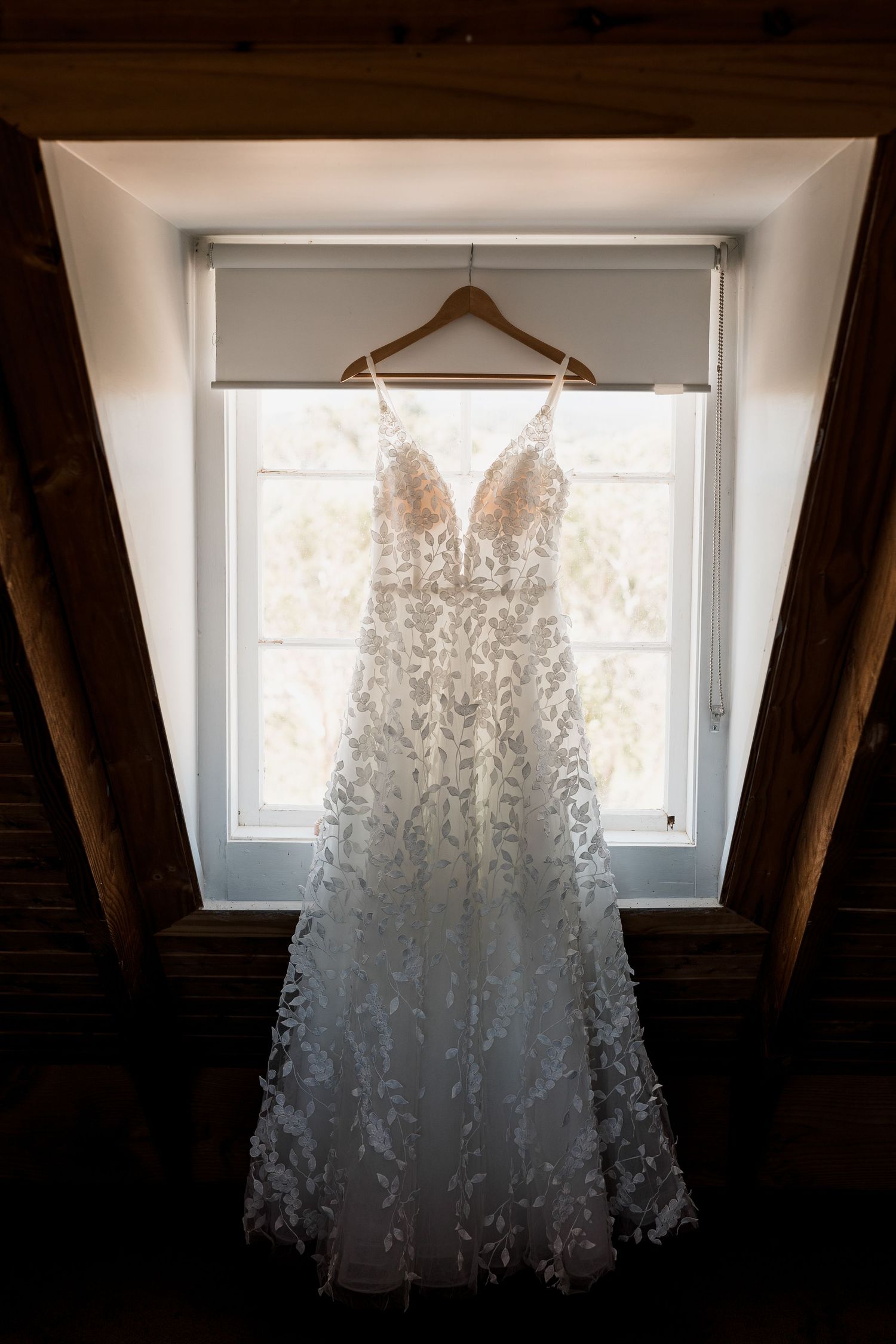 Wendy Parker Photography — photo 4 of 18