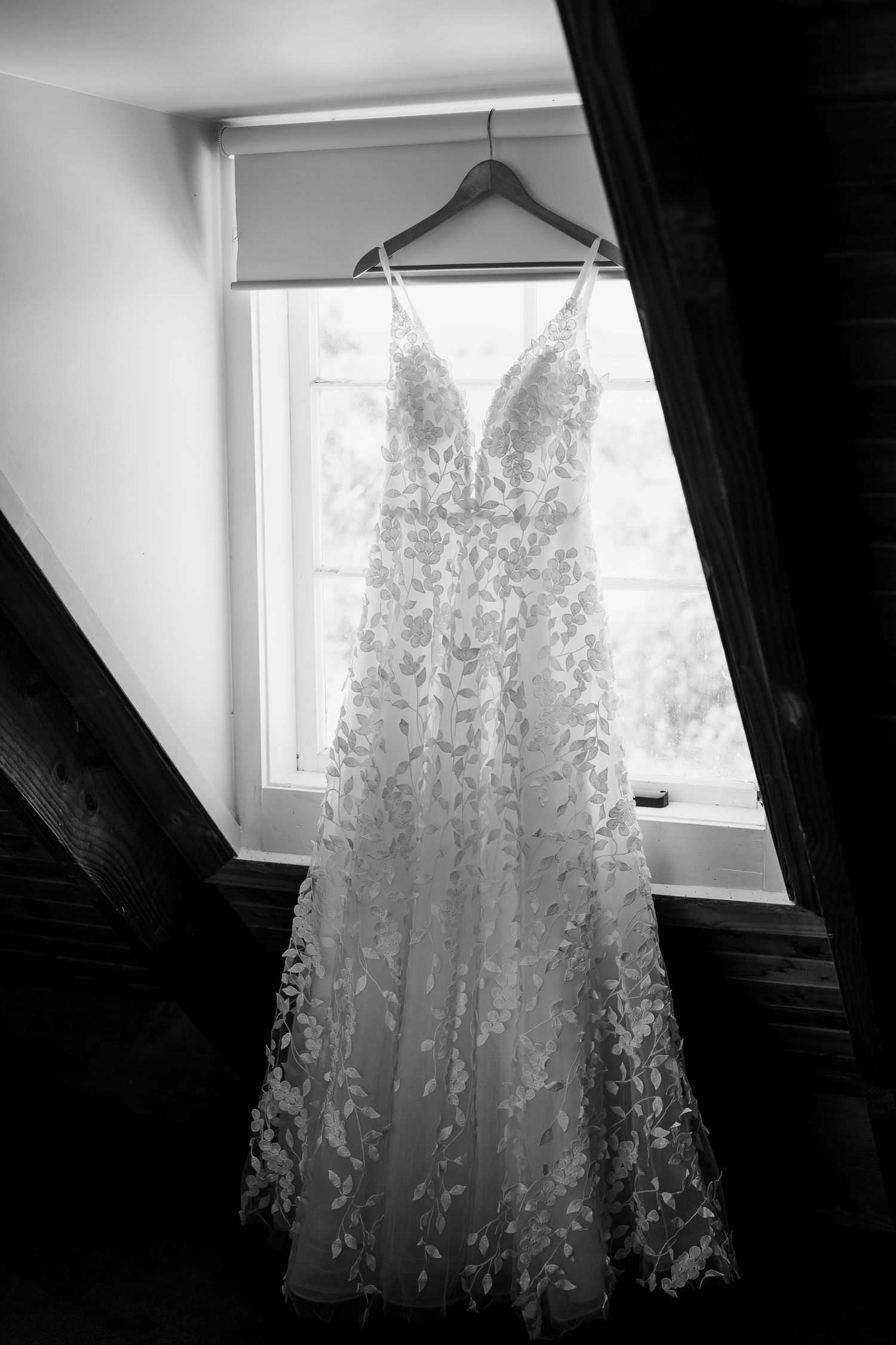 Wendy Parker Photography — photo 5 of 18