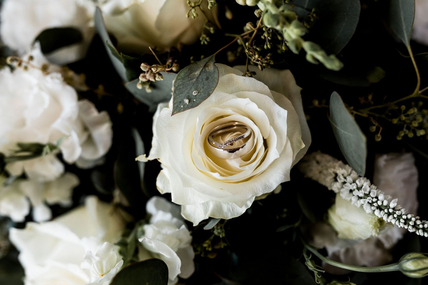 Wendy Parker Photography — photo 8 of 18