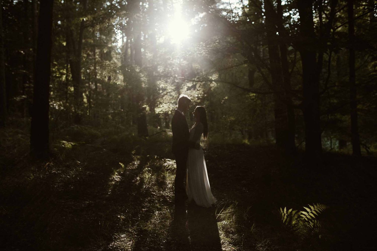 Silhouetted couple shares intimate moment in sunlit forest setting.