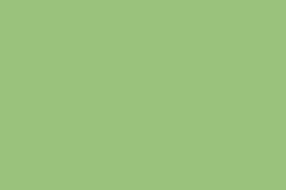 A solid light green background with a fresh spring-like hue.