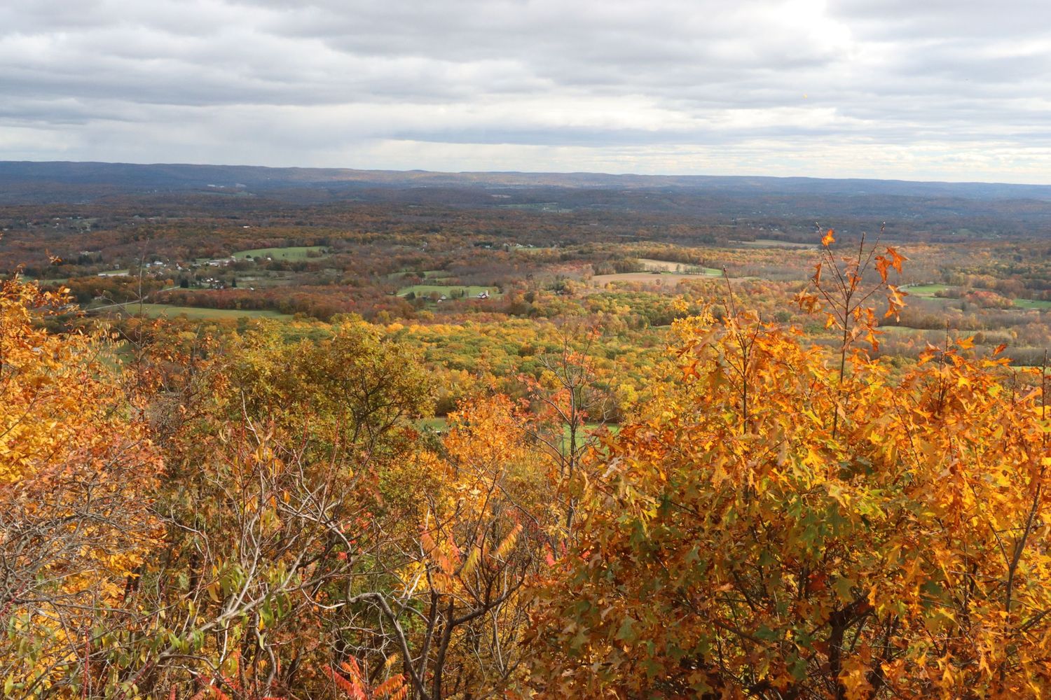 Panoramic aerial view of colorful autumn foliage covering vast valley landscape under cloudy sky.