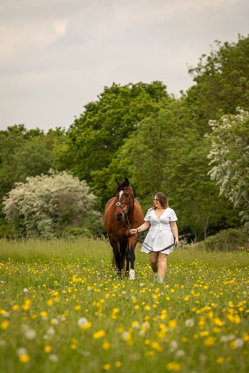A bay horse and companion walk through a meadow filled with yellow wildflowers on a spring day.