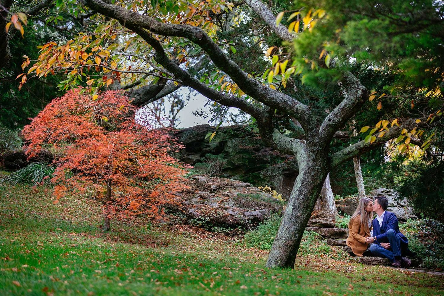 Engagement couple kissing in Everglades Gardens, Leura