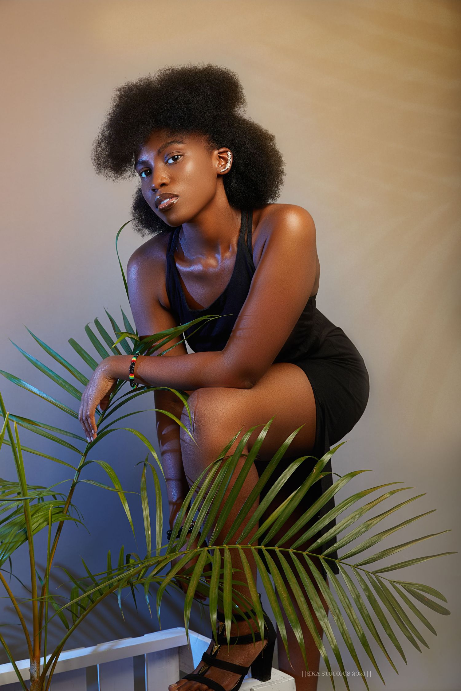 Artistic portrait with palm fronds and dramatic lighting creating a moody atmosphere against a dark background.