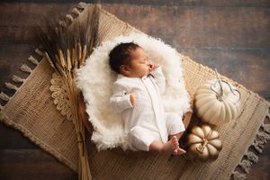 studio newborn photographer