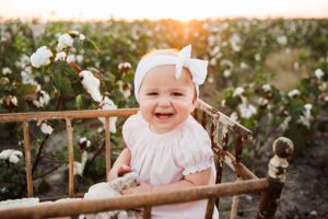 cotton field  child photography