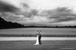 Dramatic black and white panoramic shots of a couple in a vast open field under cloudy skies.