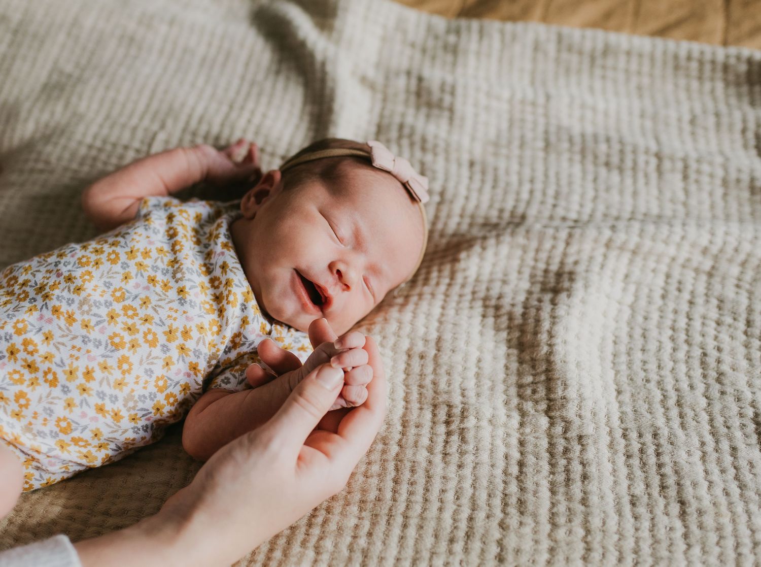 newborn photos knoxville