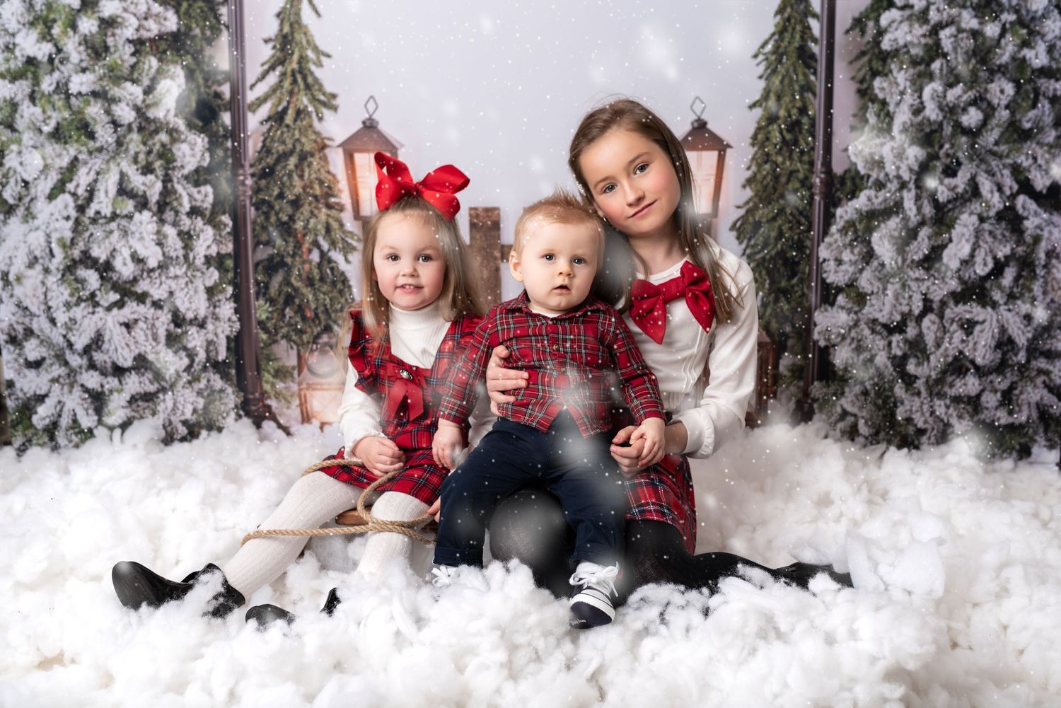 christmas outfit, sleigh, snow, christmas trees