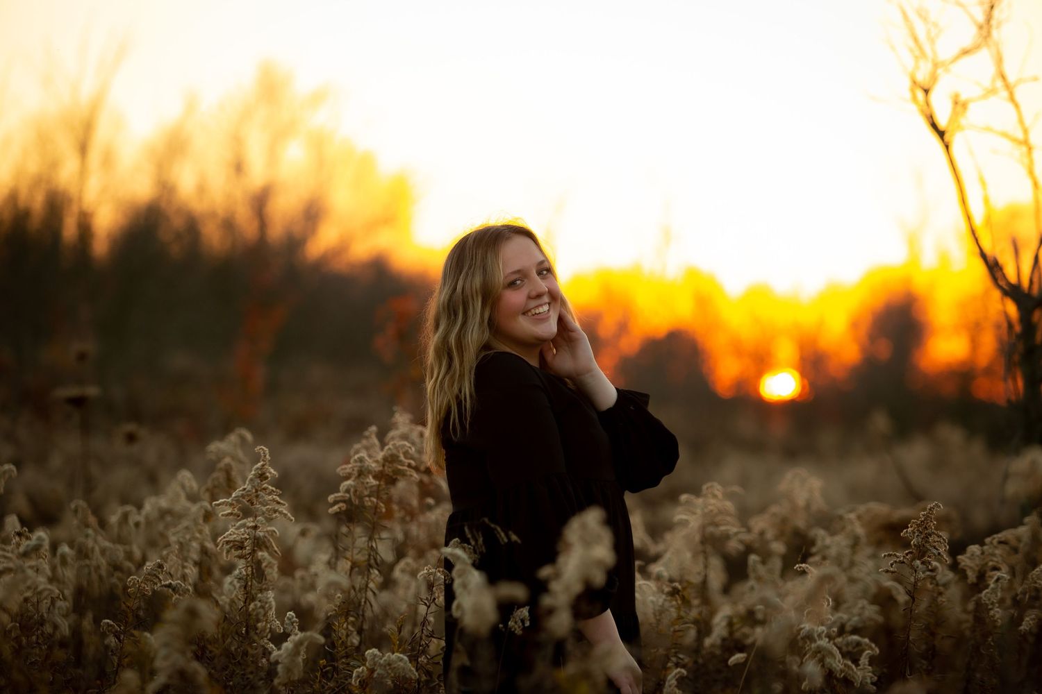 Silhouette of person in field during golden sunset with dried plants in foreground.