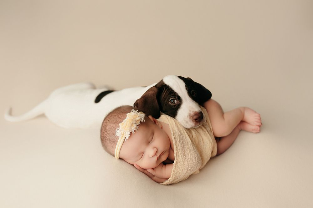 Newborn photography Wood River IL