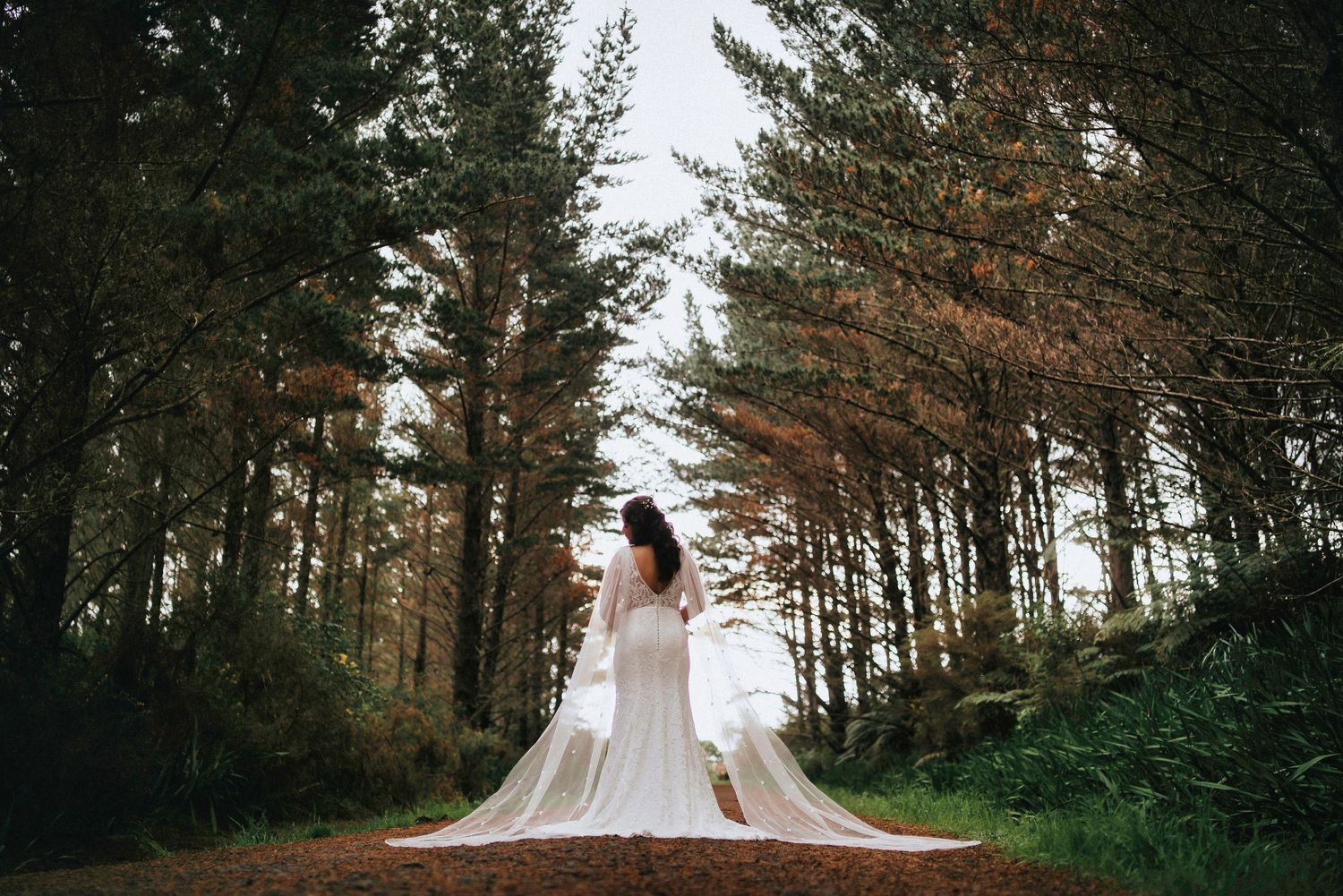 Riverhead Forest, Bride wedding dress back