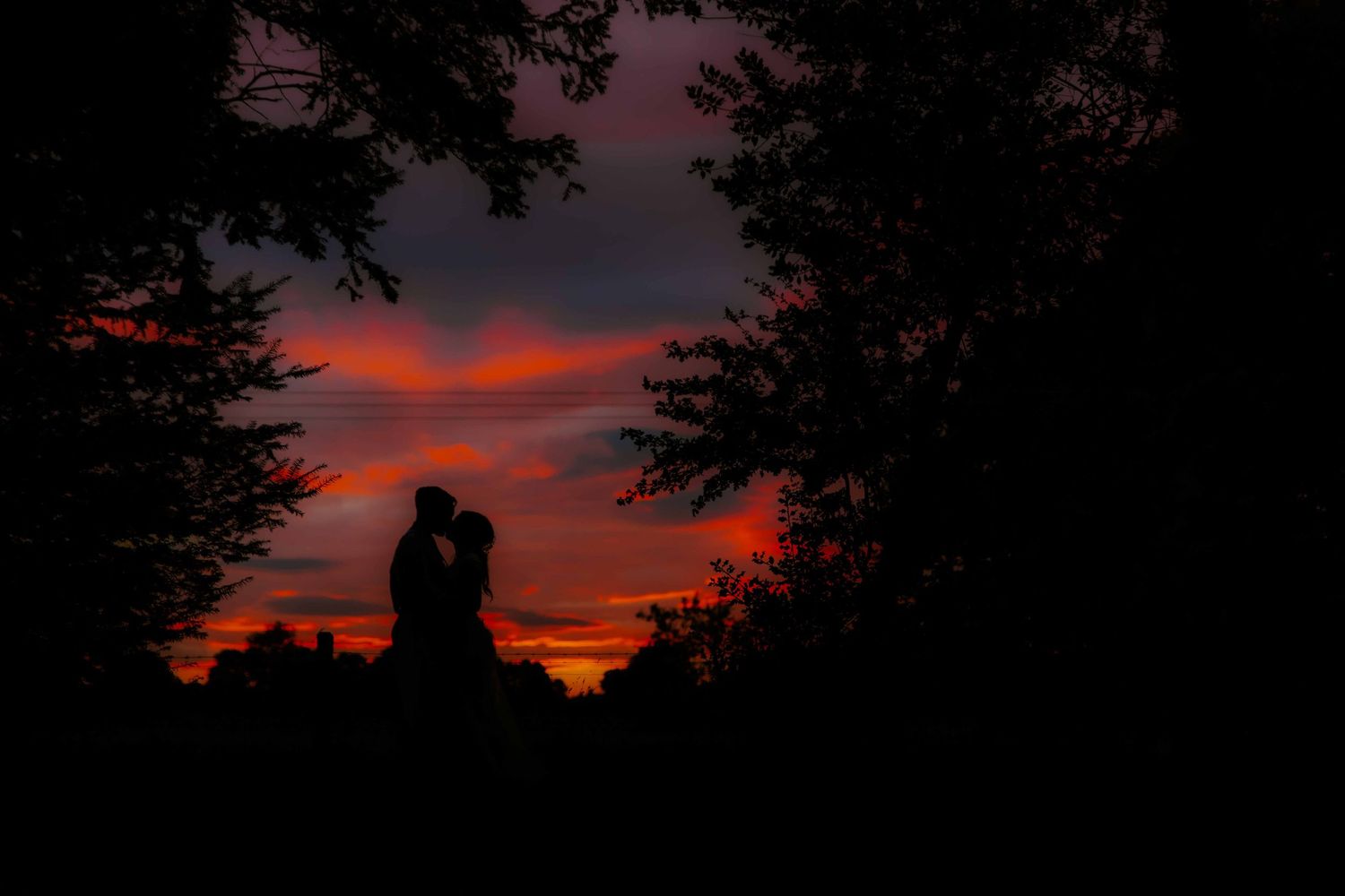 Fig House, Middleton Lodge, wedding couple at sunset, Richmond