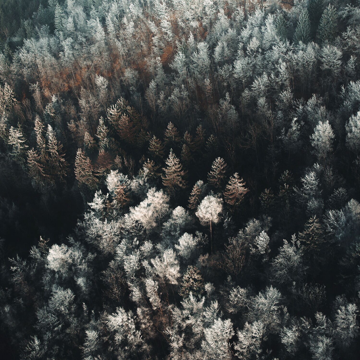 Season is changing