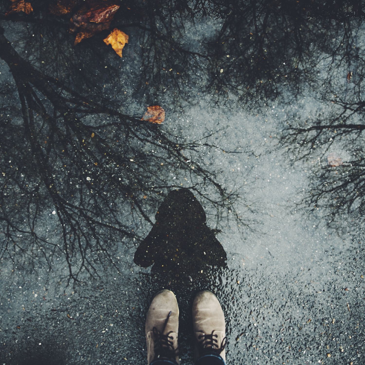 Reflection in Fall