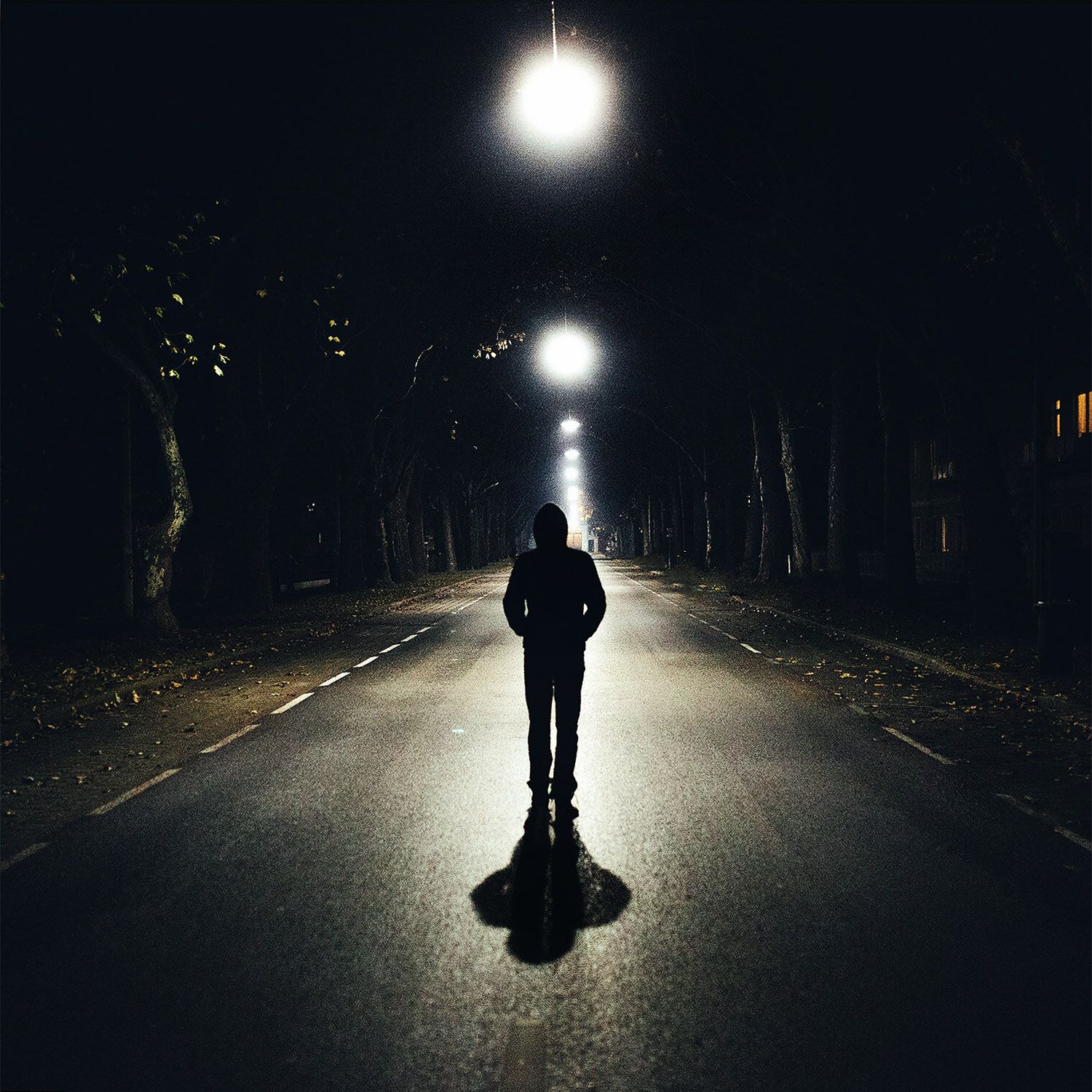 Eggenberg at night