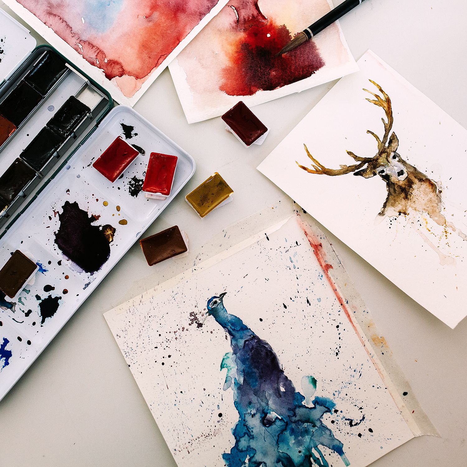 Deer and peacock