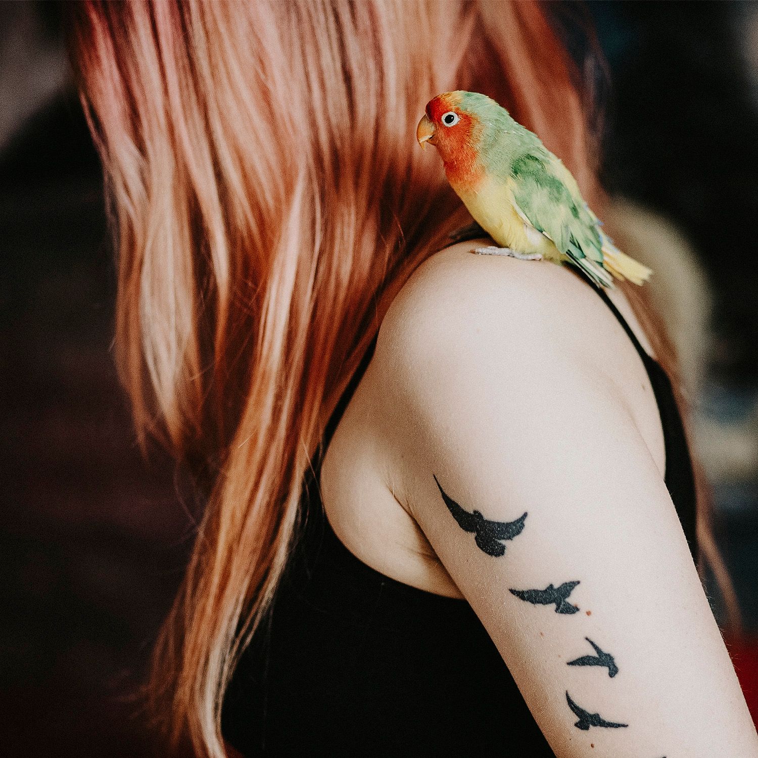 Girl with a bird