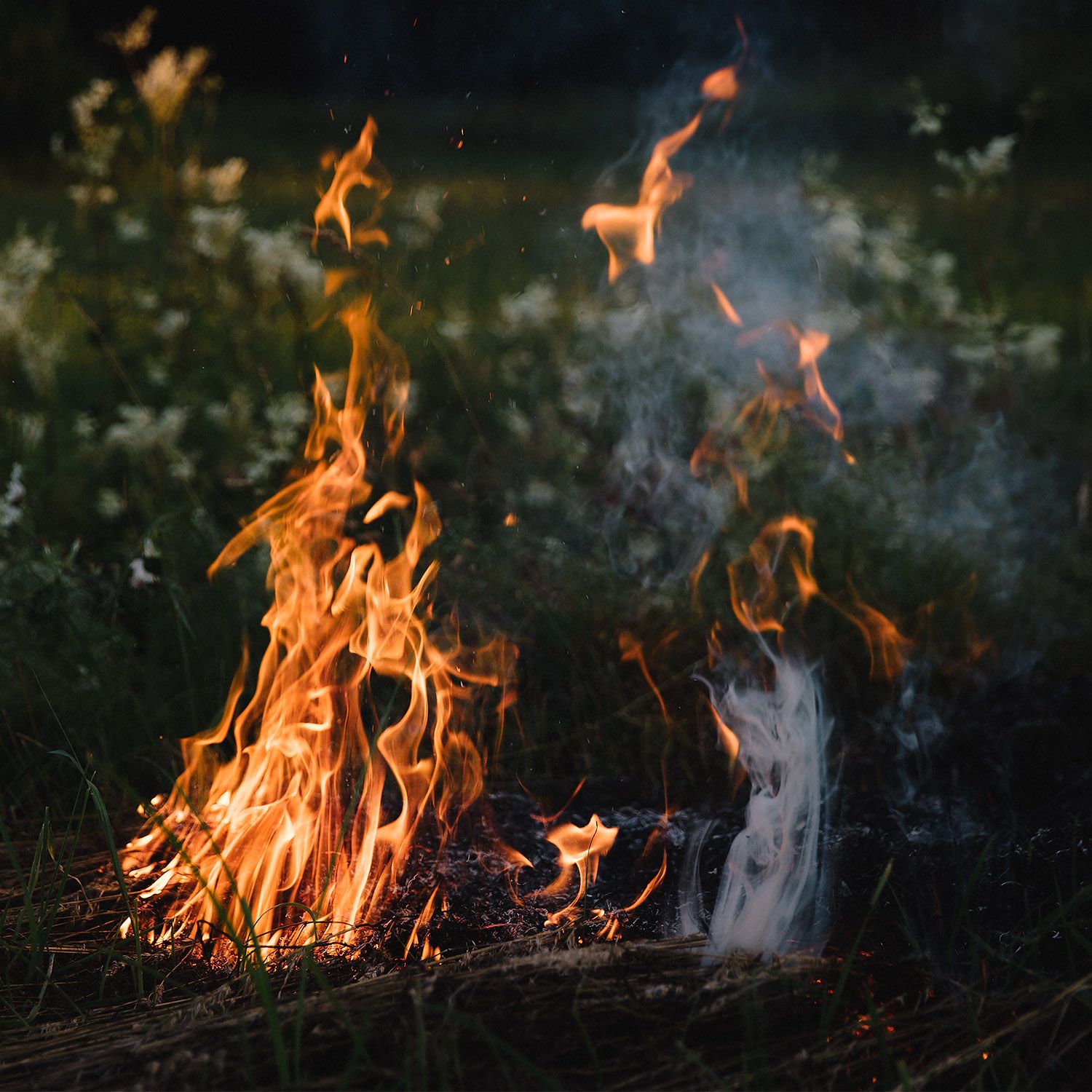 The fire