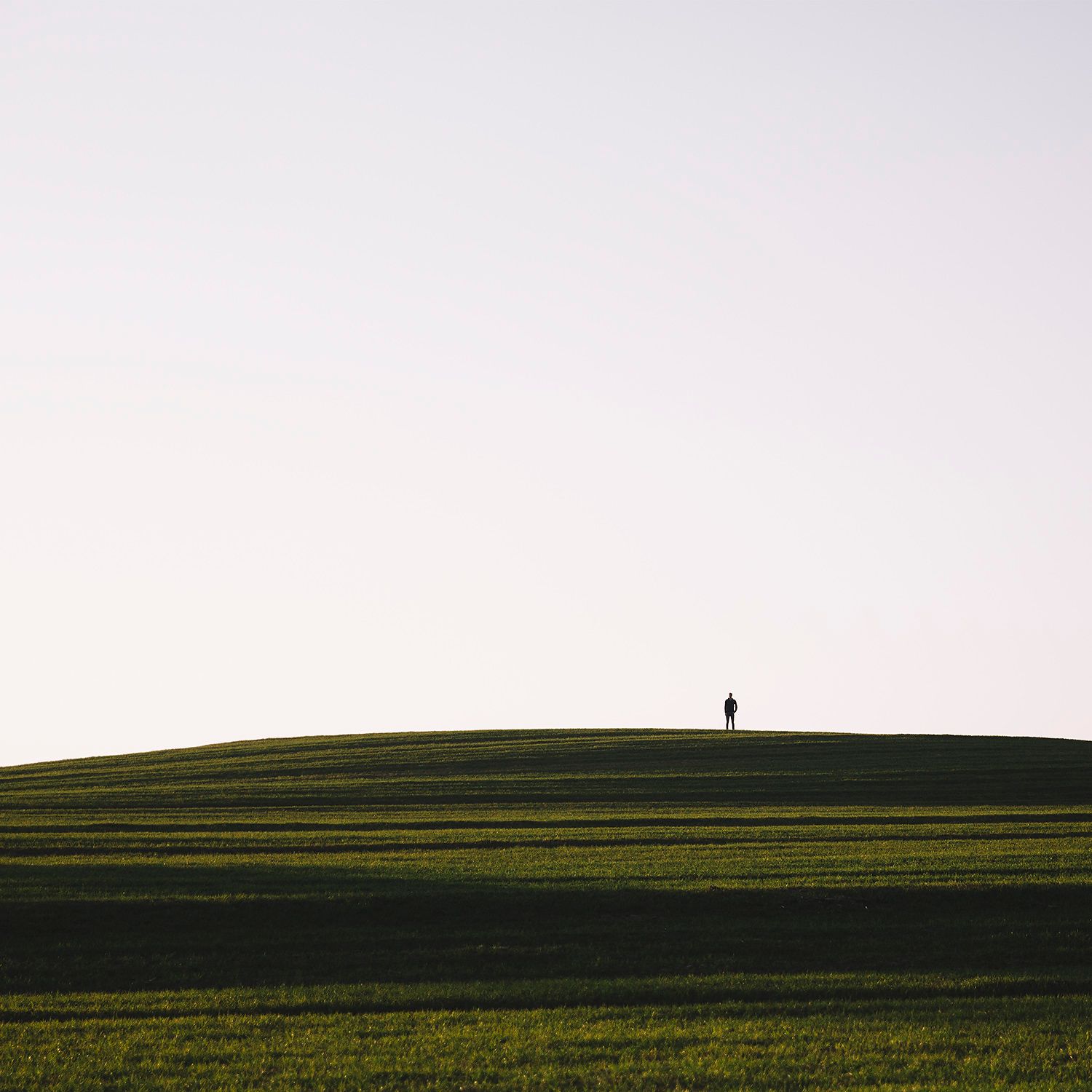 On the hill