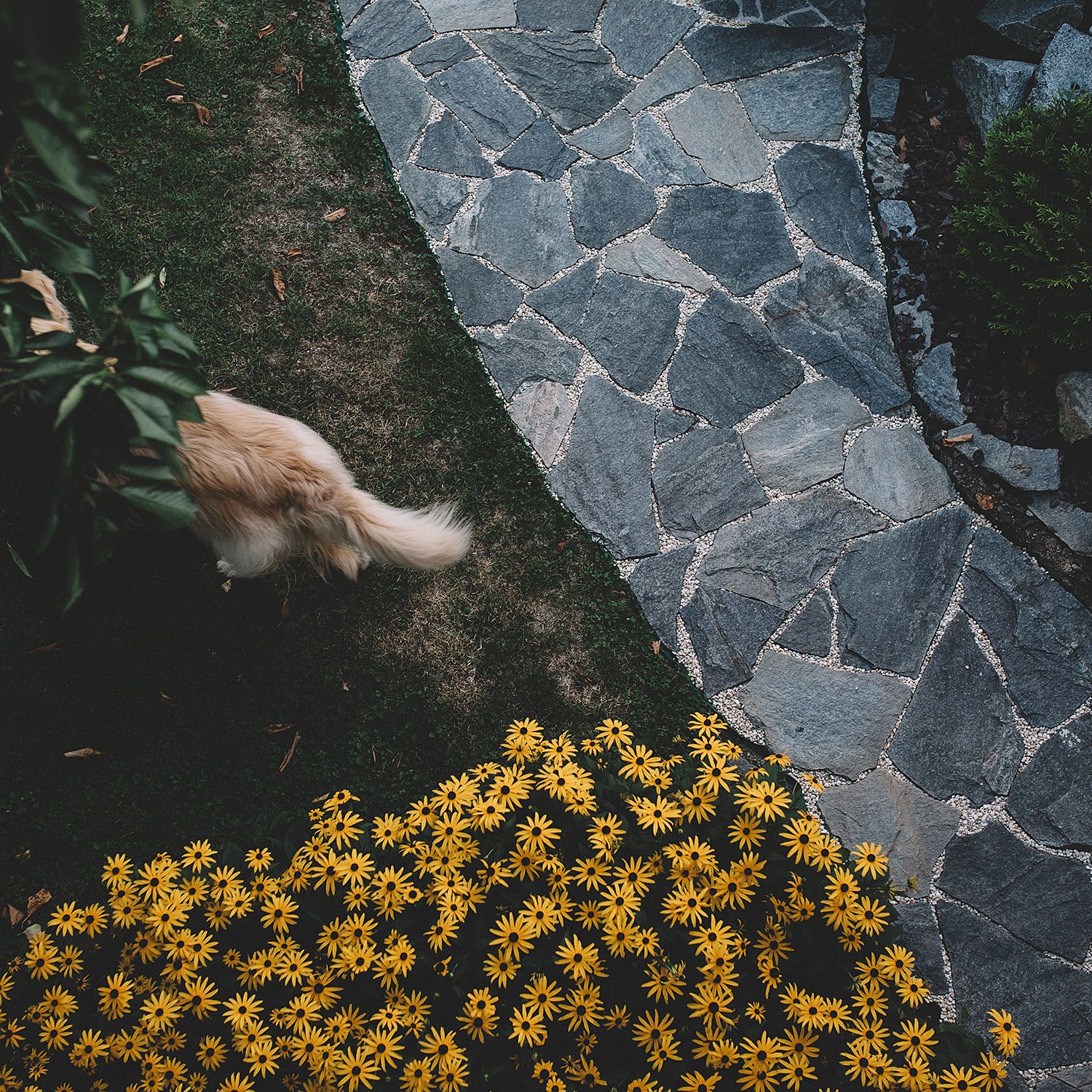 From above