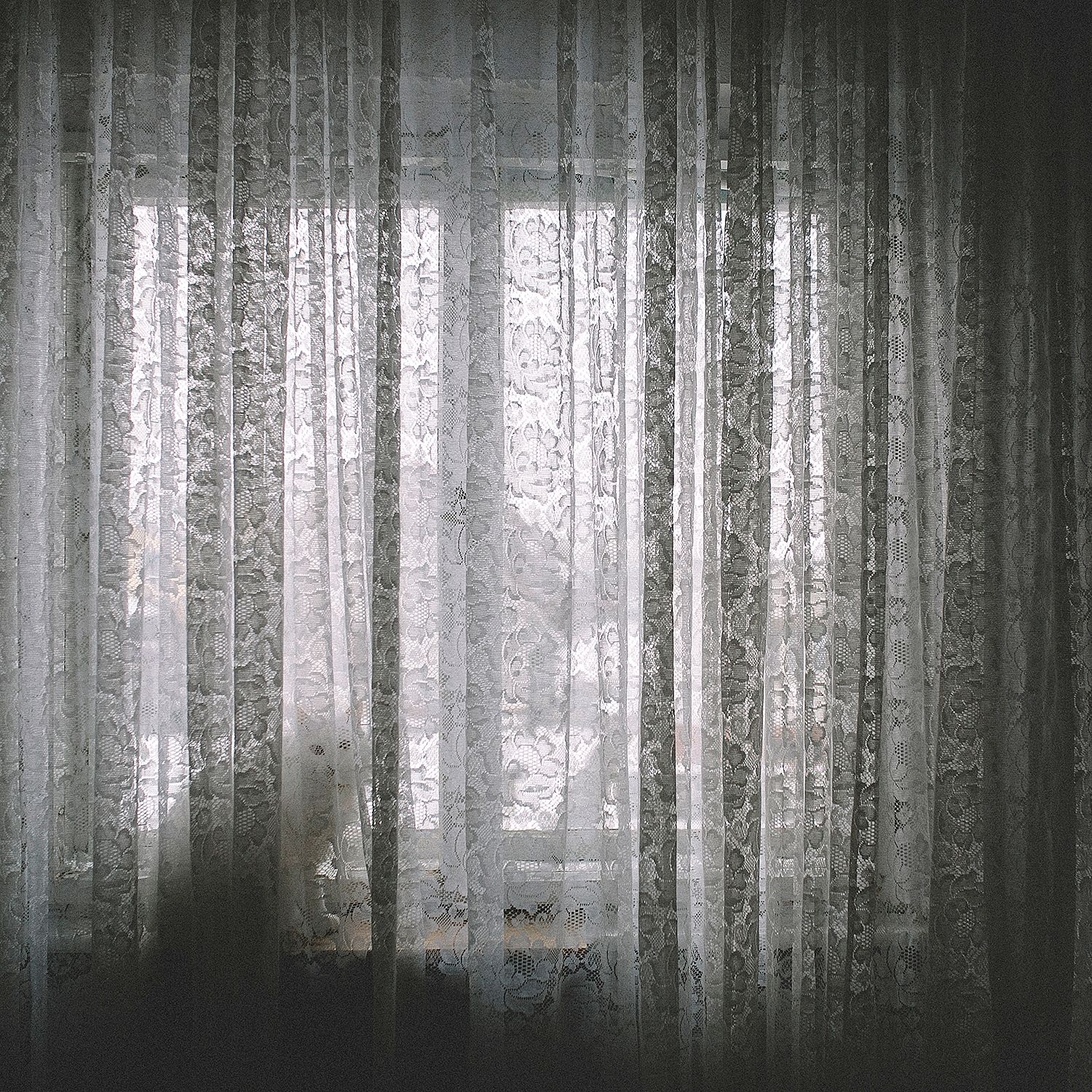 A cat behind the curtain